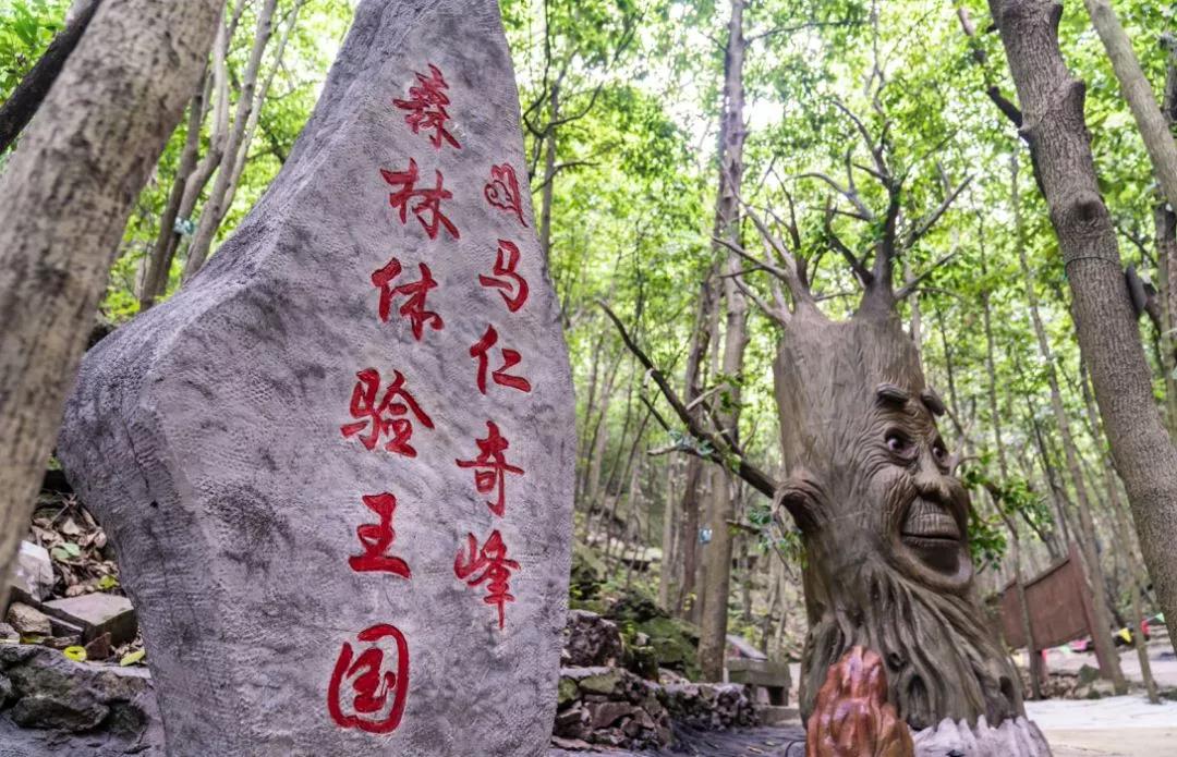 馬仁奇峰、大浦雙雙入選首批“安徽省職工療休養(yǎng)基地”！